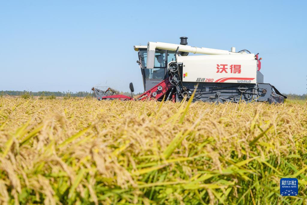 新匍京官网